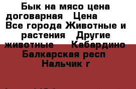 Бык на мясо цена договарная › Цена ­ 300 - Все города Животные и растения » Другие животные   . Кабардино-Балкарская респ.,Нальчик г.